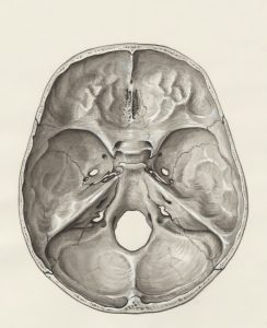 Featured Image 3 244x300