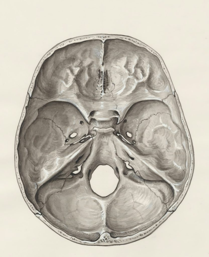 Featured Image 3 833x1024
